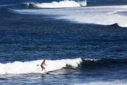 Tiburón mata a surfista en California